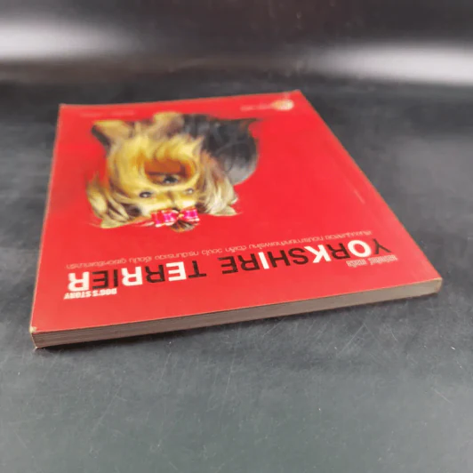 Yorkshire Terrier Dog's Story - นวมินทร์ รูปที่ 6