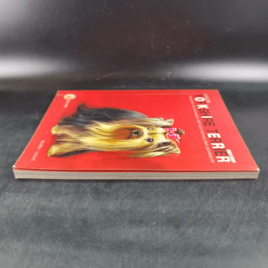 Yorkshire Terrier Dog's Story - นวมินทร์ รูปที่ 5