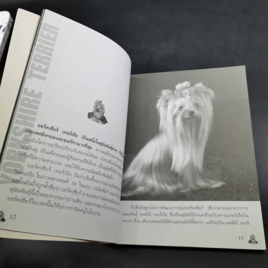 Yorkshire Terrier Dog's Story - นวมินทร์ รูปที่ 10