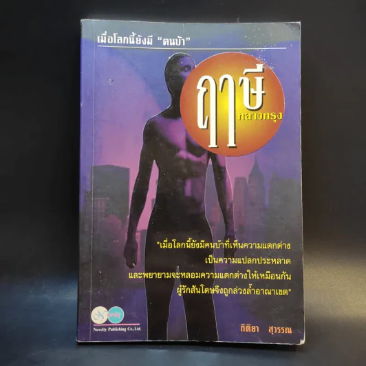 ฤาษีกลางกรุง - กิติยา สุวรรณ รูปที่ 1