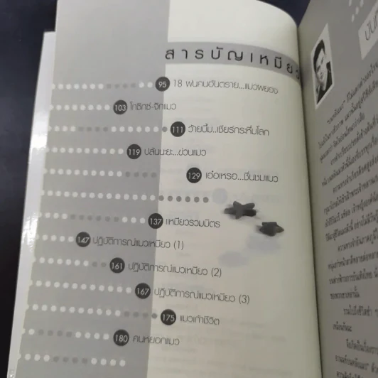 บนหลังแมว - พจน์ อานนท์ รูปที่ 10