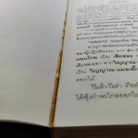 กฎแห่งกรรม ธรรมปฏิบัติ - พระภาวนาวิสุทธิคุณ รูปที่ 10