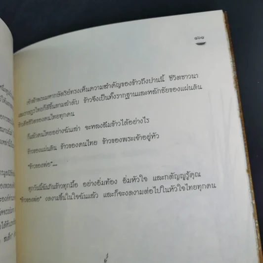 ข้าวของพ่อ - วิมลพรรณ ปีตธวัชชัย รูปที่ 13