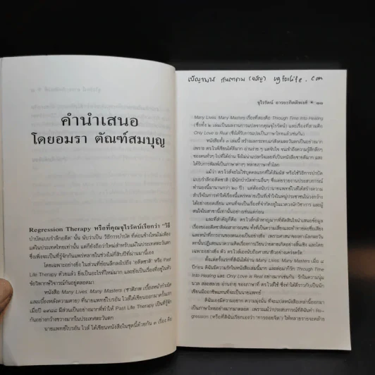ข้ามภพ ย้อนเวลาเยียวยาปัจจุบัน - จุไรรัตน์ อารยะกิตติพงศ์ รูปที่ 13