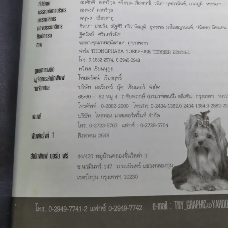 Yorkshire Terrier Dog's Story - นวมินทร์ รูปที่ 7