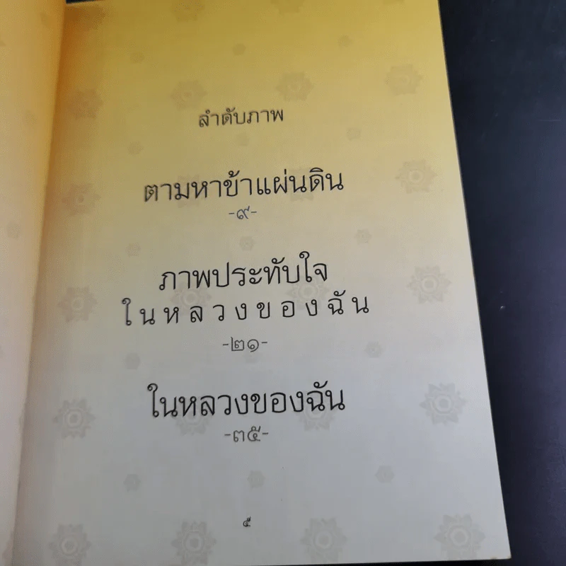ในหลวงของฉัน รูปที่ 9