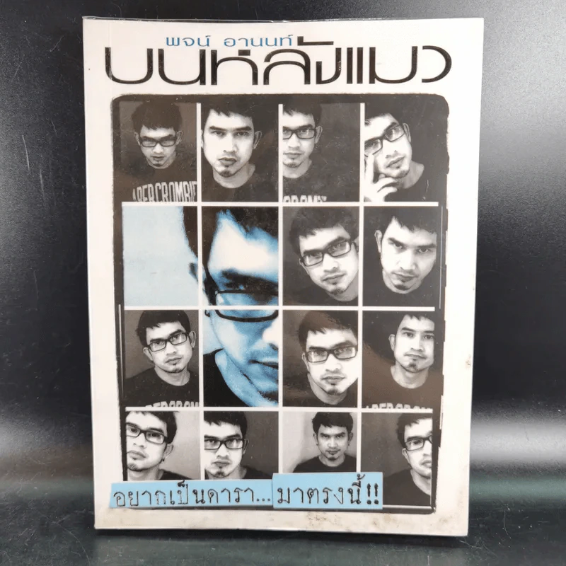 บนหลังแมว - พจน์ อานนท์ รูปที่ 1