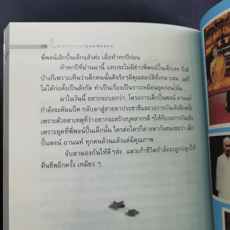 บนหลังแมว - พจน์ อานนท์ รูปที่ 15