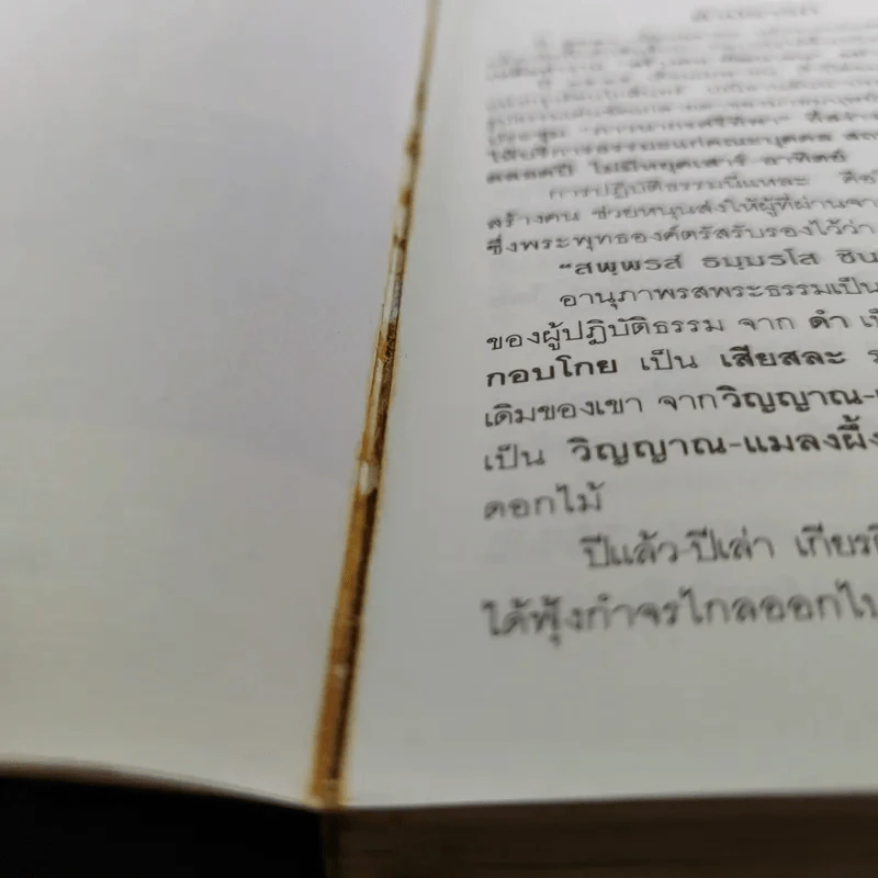 กฎแห่งกรรม ธรรมปฏิบัติ - พระภาวนาวิสุทธิคุณ รูปที่ 10