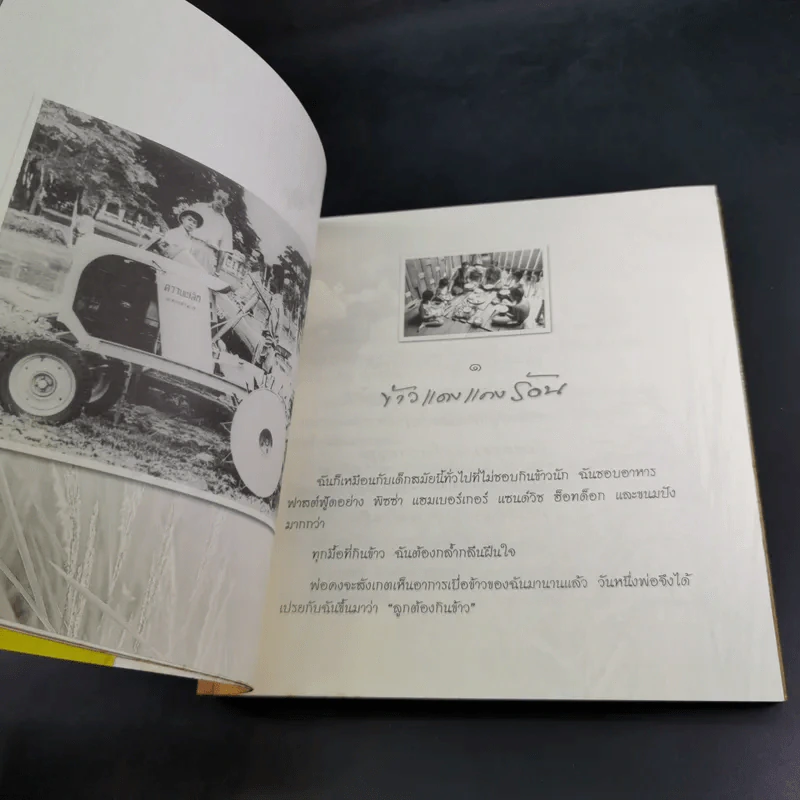 ข้าวของพ่อ - วิมลพรรณ ปีตธวัชชัย รูปที่ 11