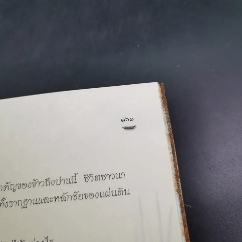ข้าวของพ่อ - วิมลพรรณ ปีตธวัชชัย รูปที่ 14