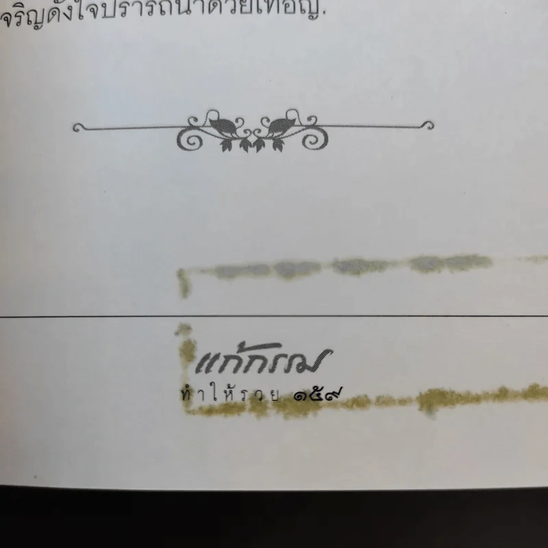 แก้กรรมทำให้รวย - วันเพ็ญ อยู่ยืน รูปที่ 14