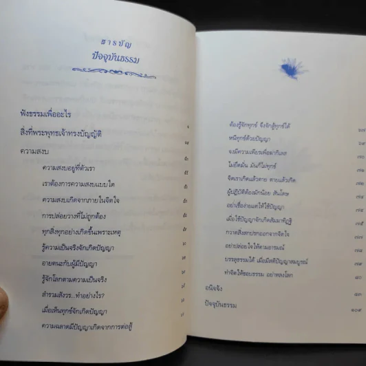 ปัจจุบันธรรม - ท่านเจ้าคุณพระโพธิญาณเถร (หลวงพ่อชา สุภัทโท) รูปที่ 8