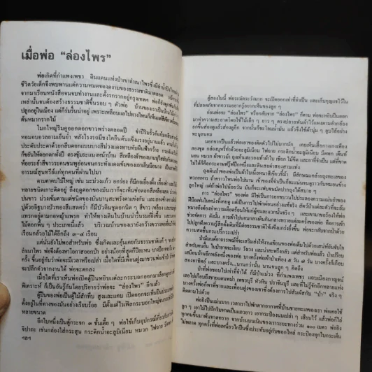 ล่องไพร ตอน มนุษย์นาคา แดนสมิง หุบผามฤตยู - น้อย อินทนนท์ รูปที่ 9