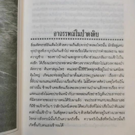 ป่าสมิง - ชาลี เอี่ยมกระสินธุ์ รูปที่ 12