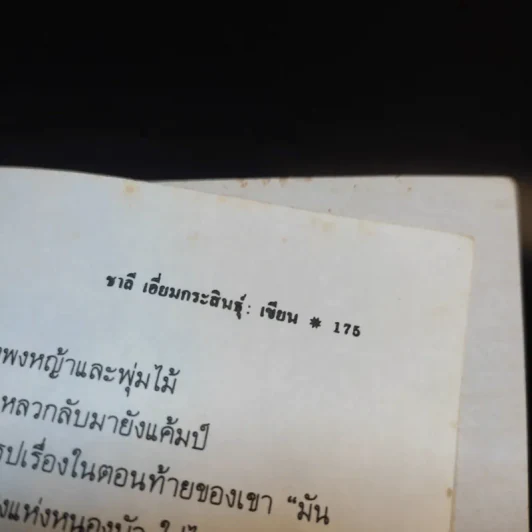 ป่าสมิง - ชาลี เอี่ยมกระสินธุ์ รูปที่ 13