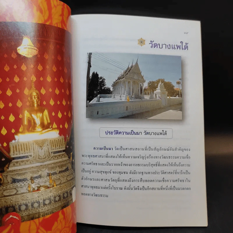 พระบาทสมเด็จพระเจ้าอยู่หัวฯ ทรงพระกรุณาโปรดเกล้าฯ พระราชทานผ้ากฐินให้ดร.ฤทธิรงค์ อินทรจินดา รูปที่ 14