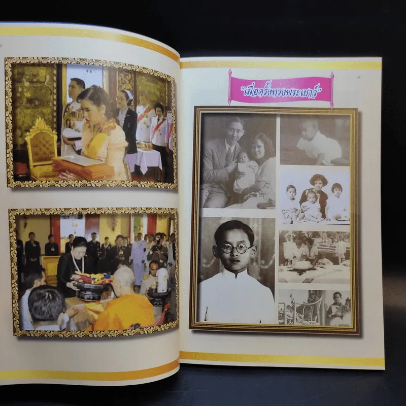พระบาทสมเด็จพระเจ้าอยู่หัวฯ ทรงพระกรุณาโปรดเกล้าฯ พระราชทานผ้ากฐินให้ดร.ฤทธิรงค์ อินทรจินดา รูปที่ 8