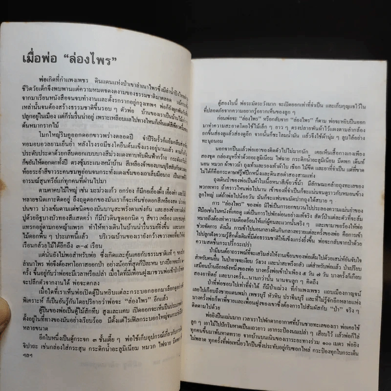 ล่องไพร ตอน มนุษย์นาคา แดนสมิง หุบผามฤตยู - น้อย อินทนนท์ รูปที่ 9