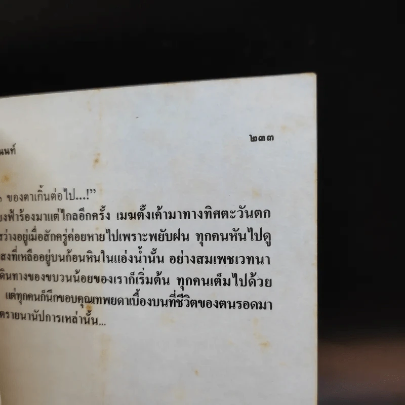 ล่องไพร ตอน มนุษย์นาคา แดนสมิง หุบผามฤตยู - น้อย อินทนนท์ รูปที่ 12