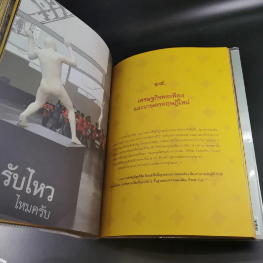เหนือเกล้าชาวไทย รูปที่ 12