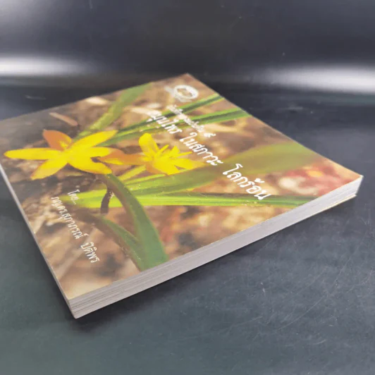 บันทึกของแผ่นดิน 9 สมุนไพร ในสภาวะ โลกร้อน - ภญ.ดร.สุภาภรณ์ ปิติพร รูปที่ 5