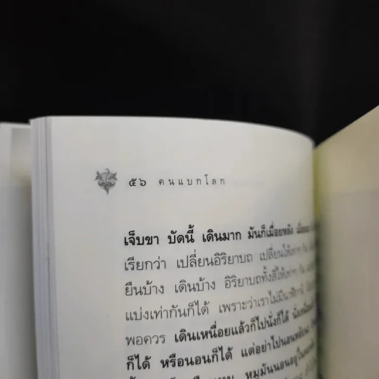 คนแบกโลก - หลวงพ่อเทียน จิตตสุโภ รูปที่ 10