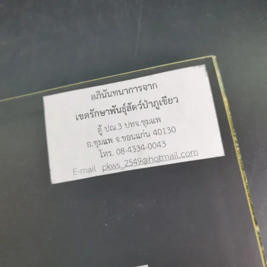 เพื่อนไพรในภูเขียว รูปที่ 8