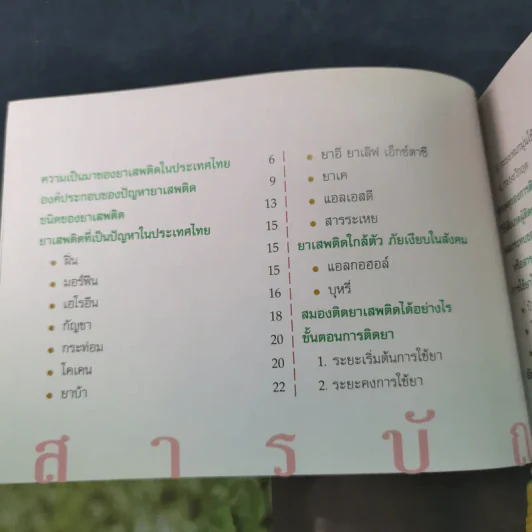 เรียนรู้เรื่องยาเสพติด ชีวิตปลอดภัย รูปที่ 9