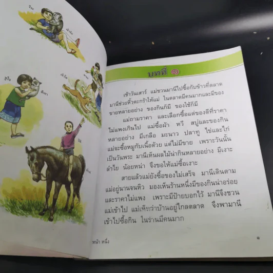 หนังสืออ่านเพิ่มเติม มานะ มานี ชั้นประถมศึกษาปีที่ 2 รูปที่ 14