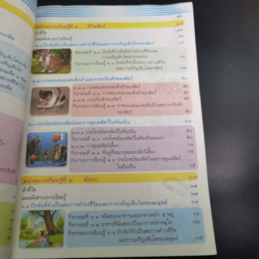 วิทยาศาสตร์ ชั้นประถมศึกษาปีที่ 2 รูปที่ 10