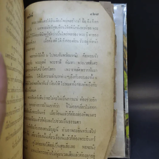 พระเจ้าสิบชาติ - พยัคฆ์ รูปที่ 11