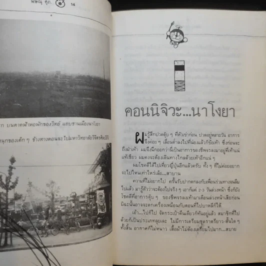 ตามกลิ่นสีไปญี่ปุ่น - พิษณุ ศุภ รูปที่ 11