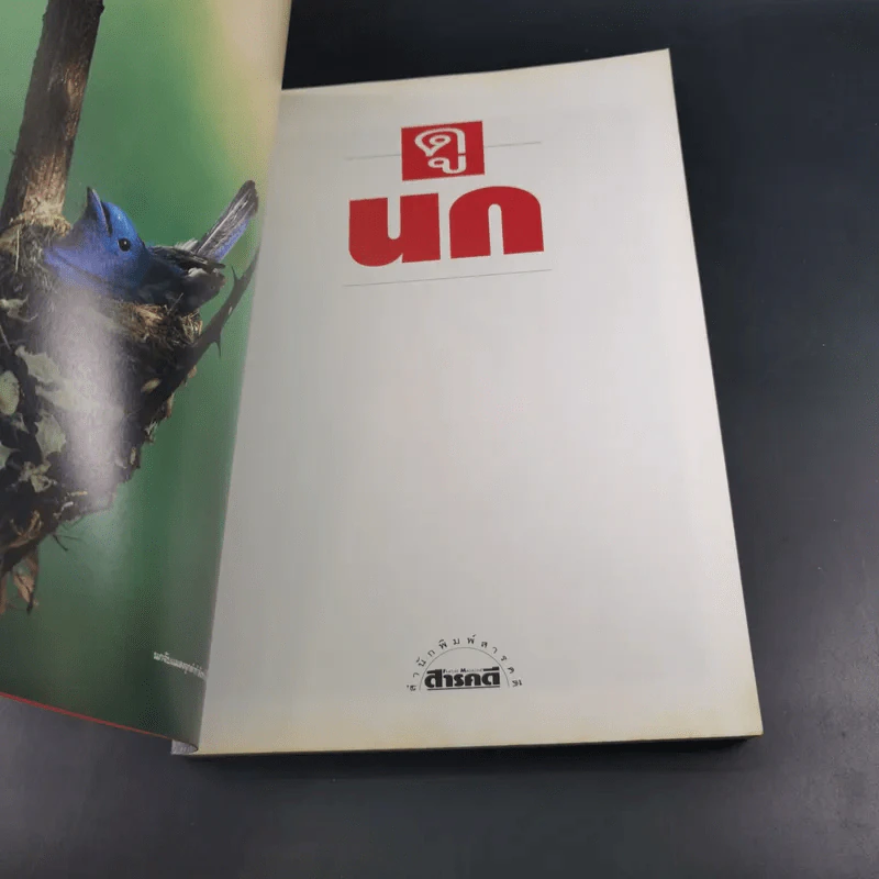 ดูนก - รุ่งโรจน์ จุกมงคล รูปที่ 7