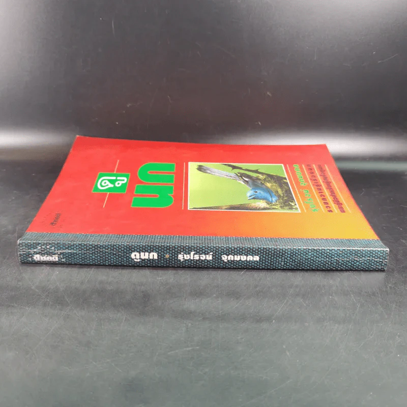 ดูนก - รุ่งโรจน์ จุกมงคล รูปที่ 3