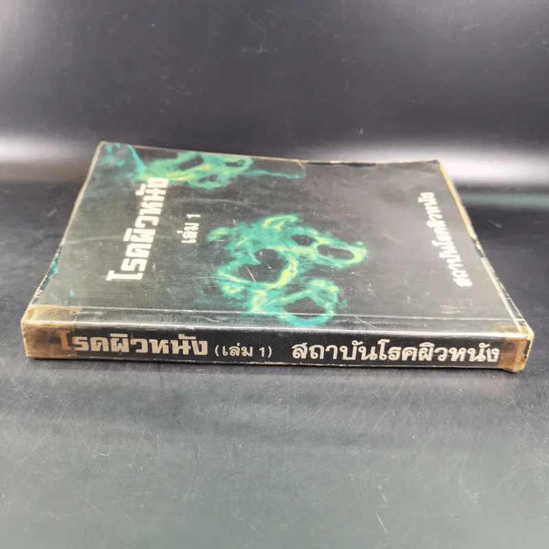 โรคผิวหนัง เล่ม 1 - สถาบันโรคผิวหนัง รูปที่ 3