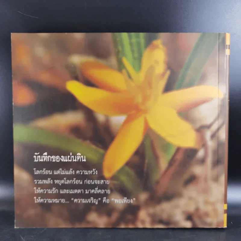 บันทึกของแผ่นดิน 9 สมุนไพร ในสภาวะ โลกร้อน - ภญ.ดร.สุภาภรณ์ ปิติพร รูปที่ 2
