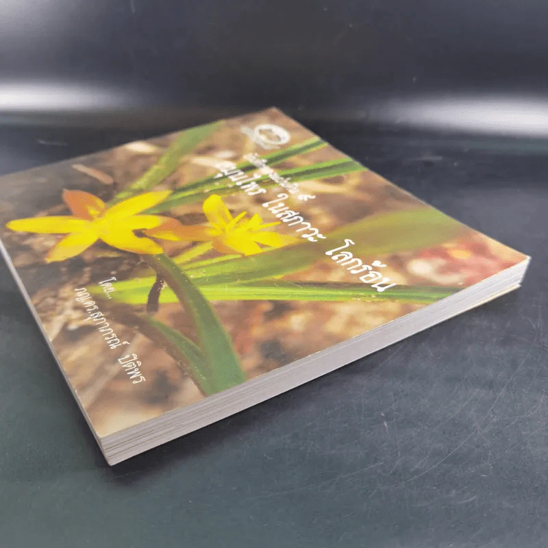 บันทึกของแผ่นดิน 9 สมุนไพร ในสภาวะ โลกร้อน - ภญ.ดร.สุภาภรณ์ ปิติพร รูปที่ 5
