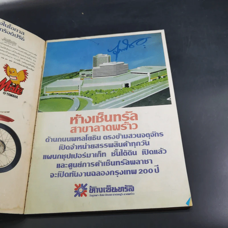 ผู้ใหญ่มากับทุ่งหมาเมิน ชุดที่ 4 - ชัย ราชวัตร รูปที่ 7