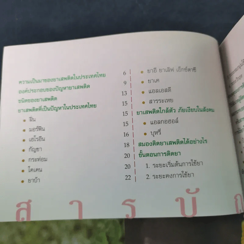 เรียนรู้เรื่องยาเสพติด ชีวิตปลอดภัย รูปที่ 9