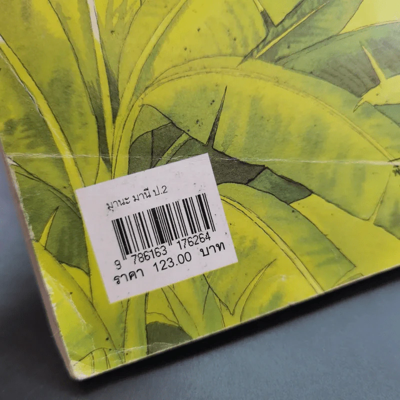 หนังสืออ่านเพิ่มเติม มานะ มานี ชั้นประถมศึกษาปีที่ 2 รูปที่ 7