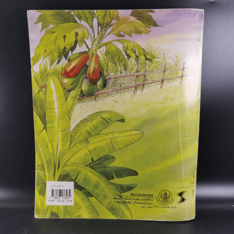 หนังสืออ่านเพิ่มเติม มานะ มานี ชั้นประถมศึกษาปีที่ 2 รูปที่ 2