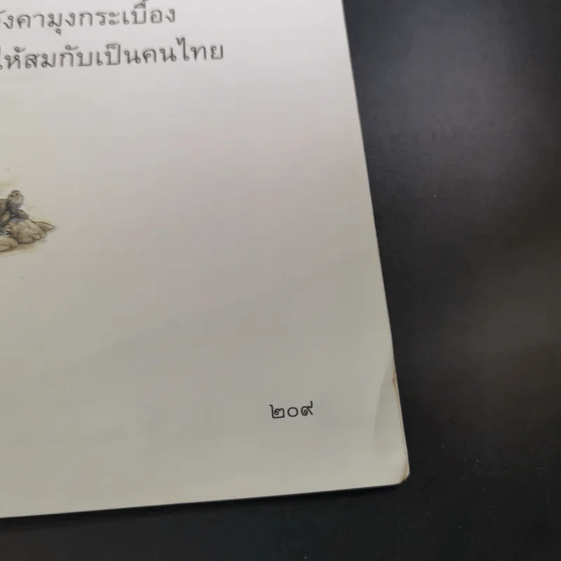 หนังสืออ่านเพิ่มเติม มานะ มานี ชั้นประถมศึกษาปีที่ 2 รูปที่ 19