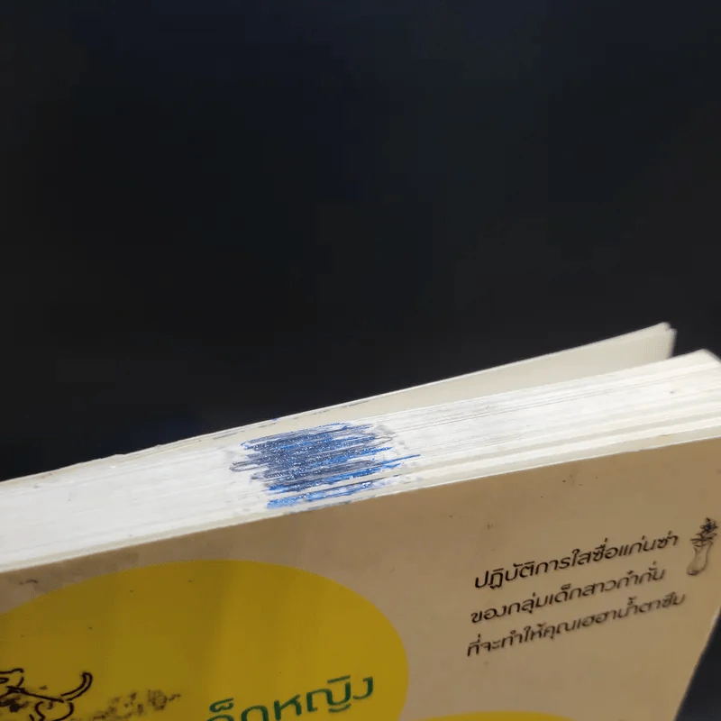 ขบวนการเด็กหญิงปากตลาด - ธรธร สิริพันธ์วราภรณ์ รูปที่ 18