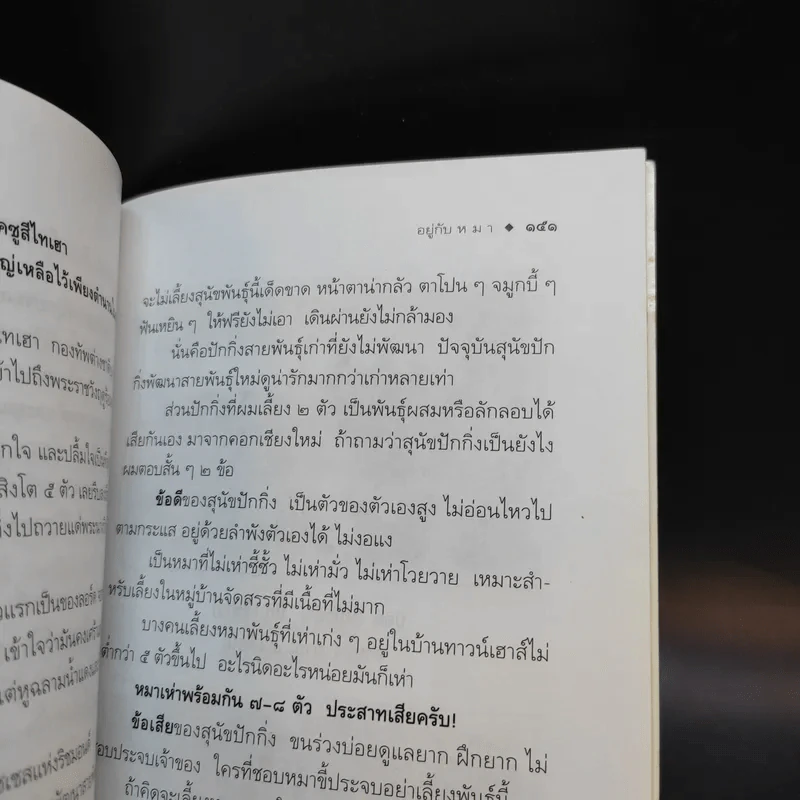 อยู่กับหมา - ชาติ ภิรมย์กุล รูปที่ 10