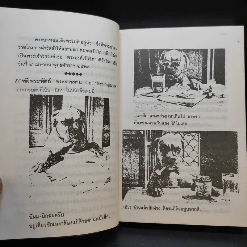 นิกกับพิม - ว.ณ ประมวลมารค รูปที่ 11