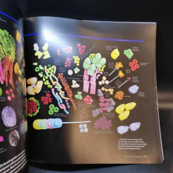 Molecules The Elements and the Architecture of Everything รูปที่ 14