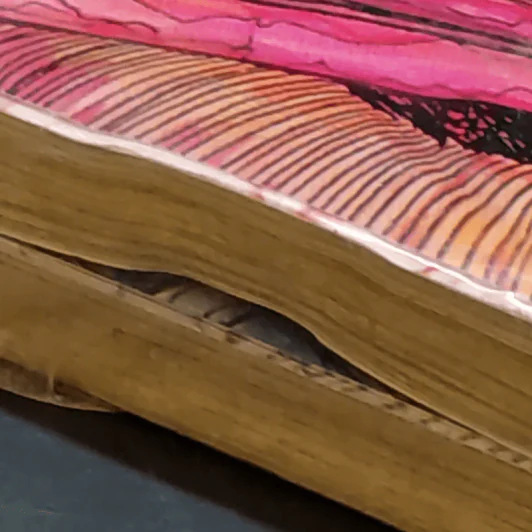 ปลามรณะ 2 เล่มจบ - Junji Ito รูปที่ 8
