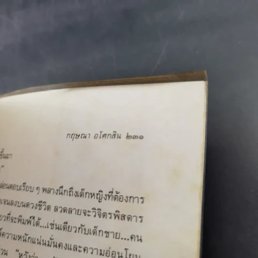 ประตูที่ปิดตาย - กฤษณา อโศกสิน รูปที่ 12