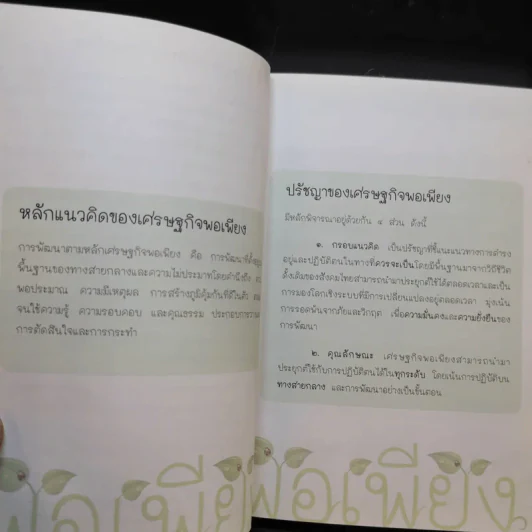 พอเพียง 5 ธ.ค.2541 รูปที่ 10